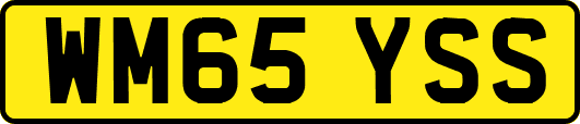 WM65YSS