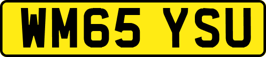 WM65YSU