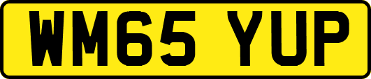 WM65YUP