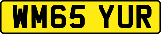 WM65YUR