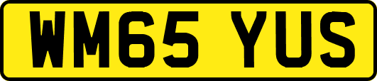WM65YUS