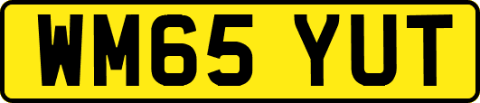 WM65YUT