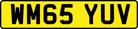 WM65YUV