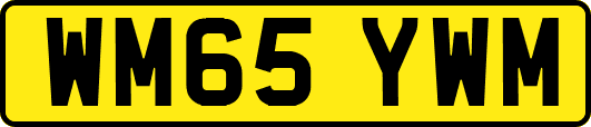 WM65YWM