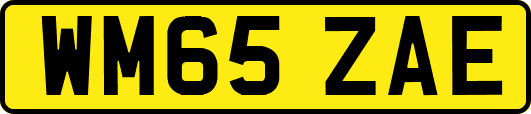 WM65ZAE