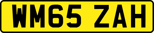 WM65ZAH