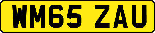 WM65ZAU