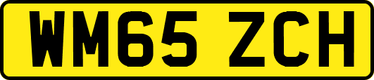 WM65ZCH
