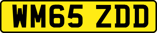 WM65ZDD