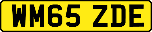 WM65ZDE