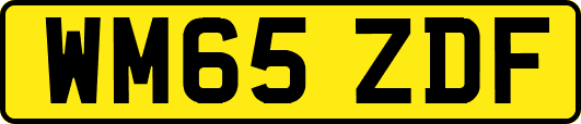 WM65ZDF
