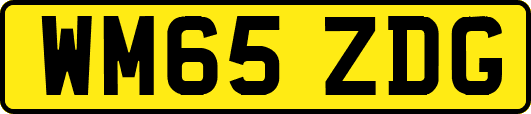 WM65ZDG