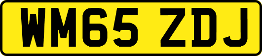 WM65ZDJ