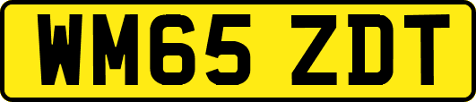 WM65ZDT