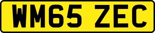 WM65ZEC