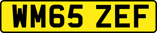 WM65ZEF