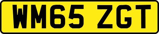 WM65ZGT