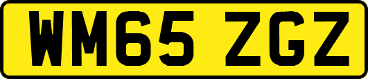 WM65ZGZ