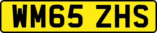 WM65ZHS