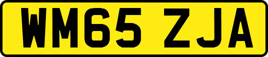 WM65ZJA