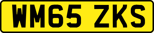 WM65ZKS