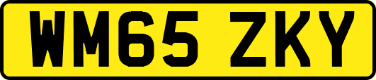WM65ZKY