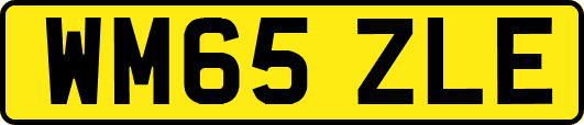 WM65ZLE