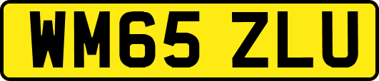 WM65ZLU