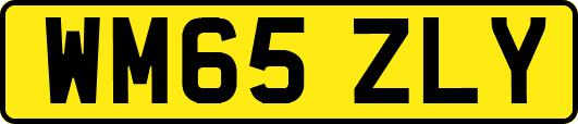 WM65ZLY