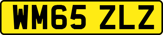 WM65ZLZ