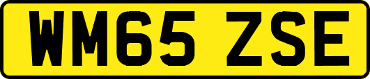 WM65ZSE