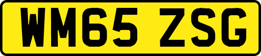 WM65ZSG
