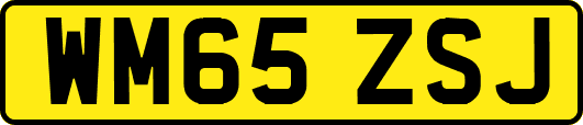WM65ZSJ
