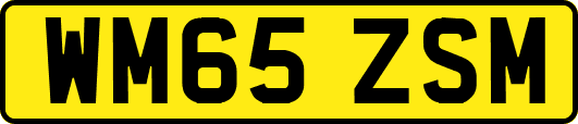 WM65ZSM