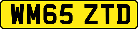 WM65ZTD