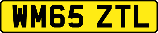 WM65ZTL