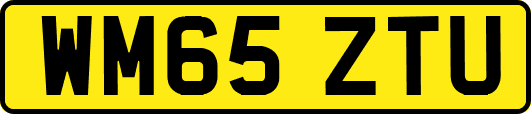 WM65ZTU