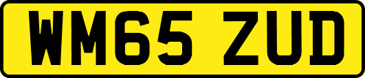 WM65ZUD