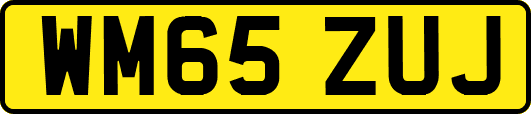 WM65ZUJ