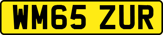WM65ZUR
