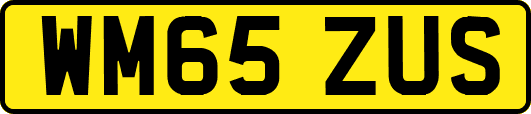 WM65ZUS