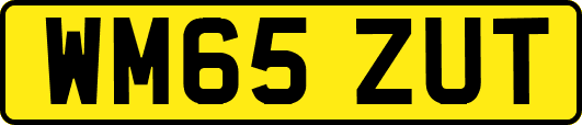 WM65ZUT