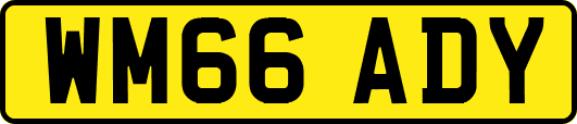 WM66ADY