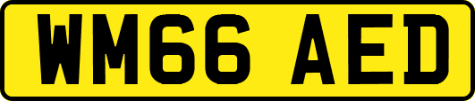 WM66AED