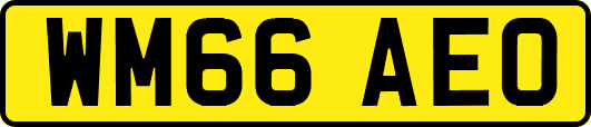 WM66AEO