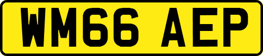 WM66AEP