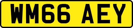 WM66AEY