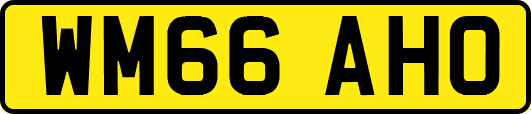 WM66AHO