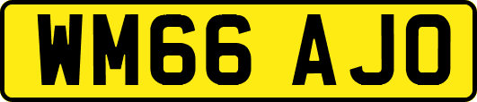 WM66AJO