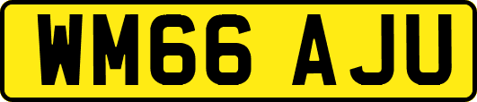 WM66AJU